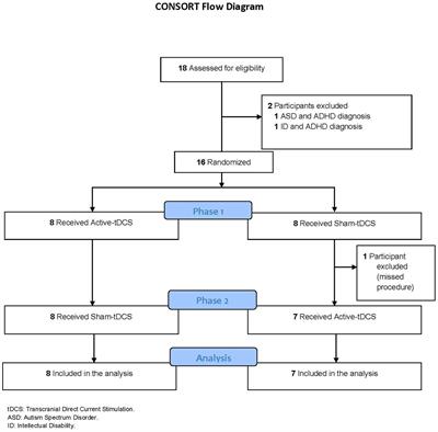 Efficacy and safety of transcranial direct current stimulation over the left dorsolateral prefrontal cortex in children and adolescents with attention-deficit/hyperactivity disorder: a randomized, triple-blinded, sham-controlled, crossover trial